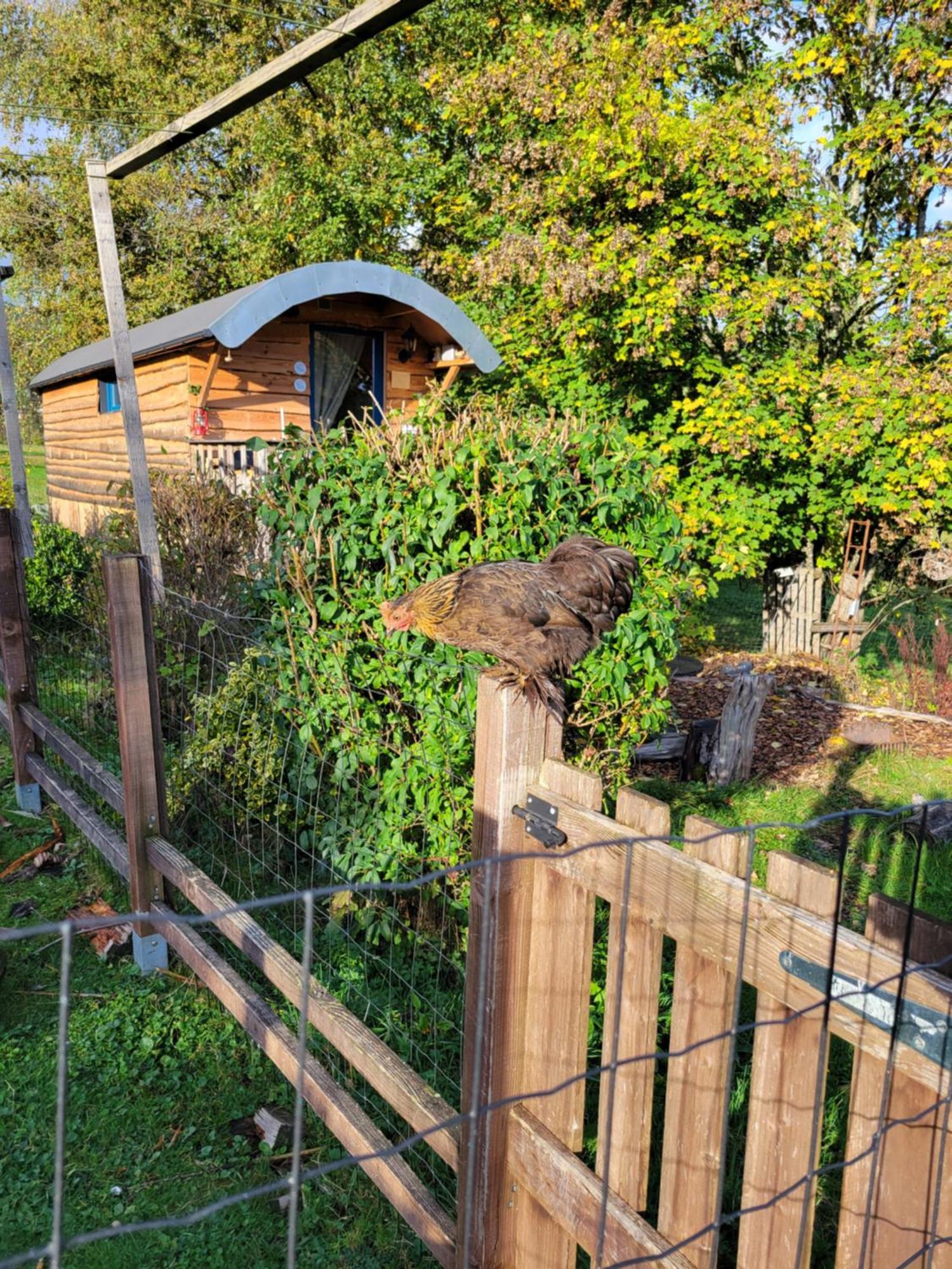 La Roulotte Tiny House Du Mond'Ideal Leval  Номер фото
